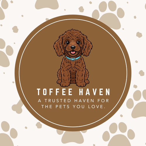 Toffee Haven 